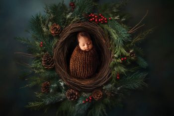 Christmas Photoshoot Newborn Christmas photography